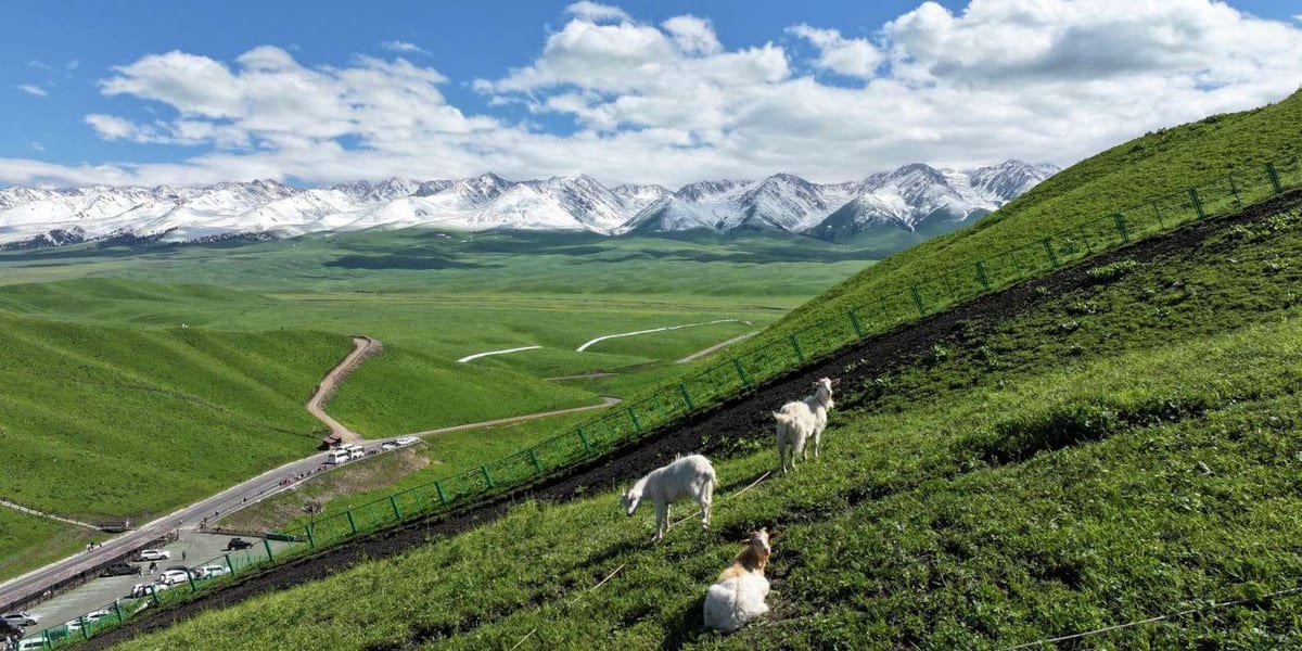 Urumqi: 8-Day Xinjiang Grand Loop Tour with Guide