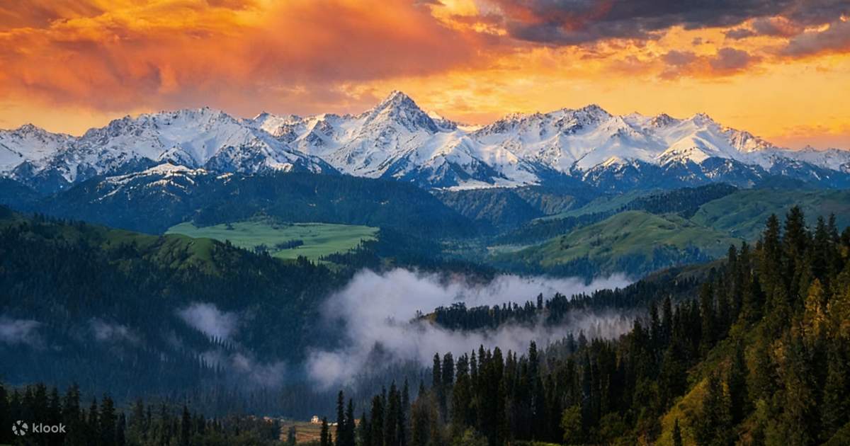 Listen to the Wind | 7 Days 6 Nights Ili Grassland Slow Travel in Northern Xinjiang